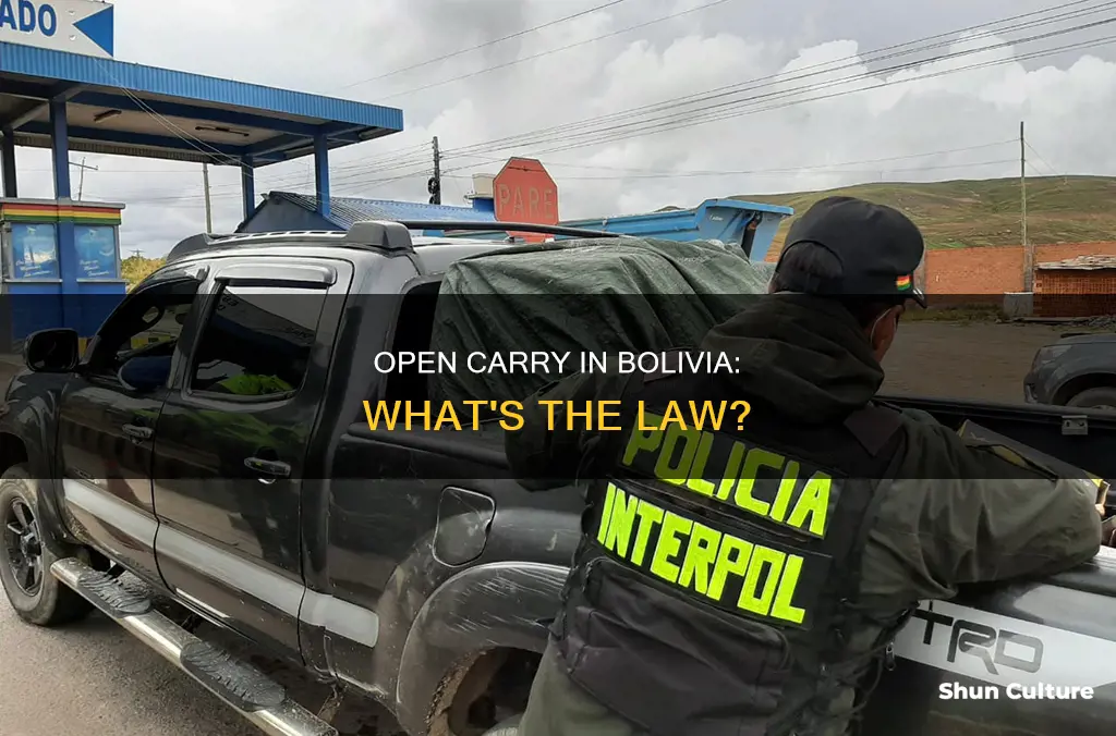 can you have open carry in bolivia