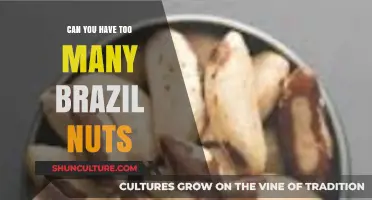 Brazil Nuts: Benefits, Risks, and Safe Daily Consumption Limits