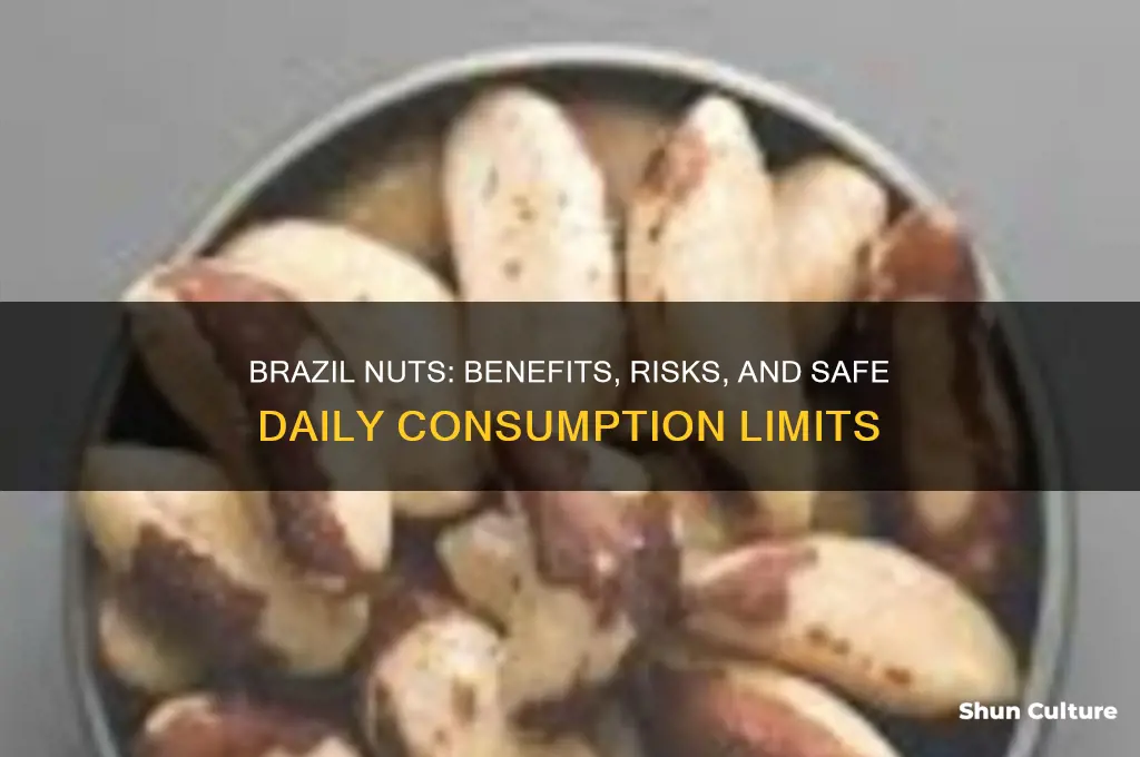 can you have too many brazil nuts