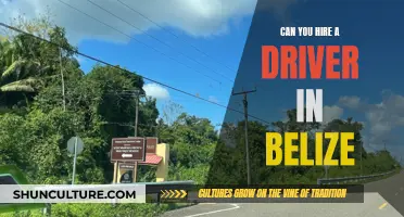 Hiring a Driver in Belize: What You Need to Know