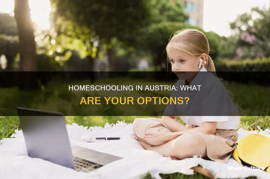 can you homeschool in austria