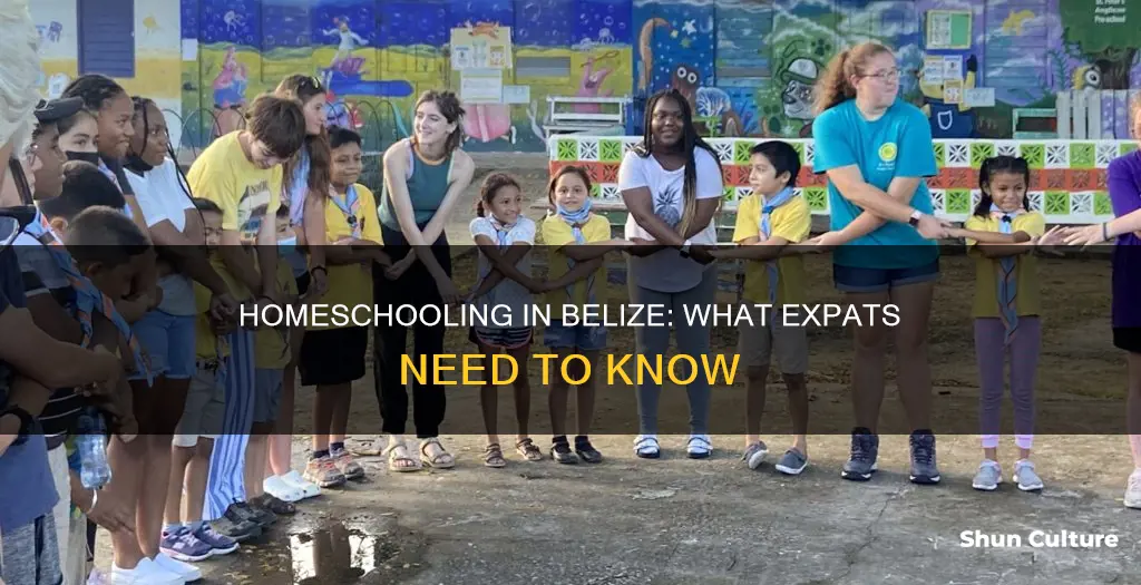 can you homeschool in belize expat