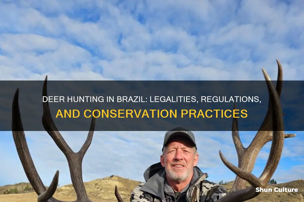 can you hunt deer in brazil