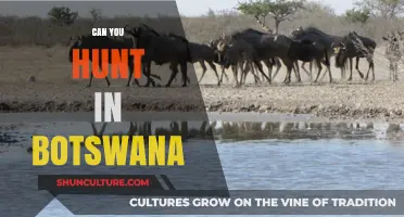 Exploring Botswana's Wildlife: Hunting Regulations and Opportunities for Tourists