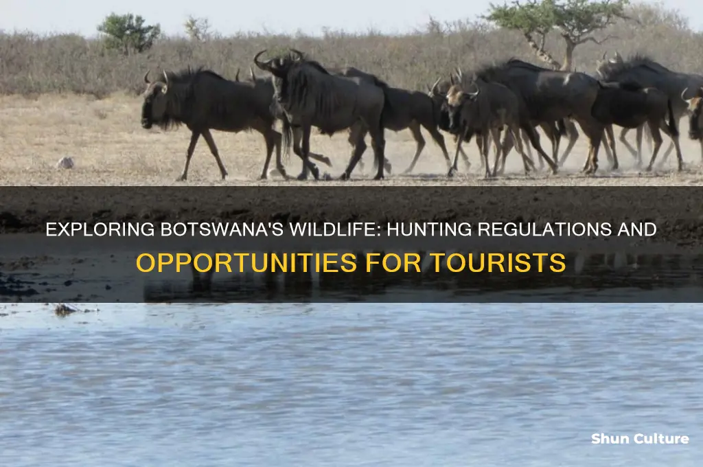 can you hunt in botswana