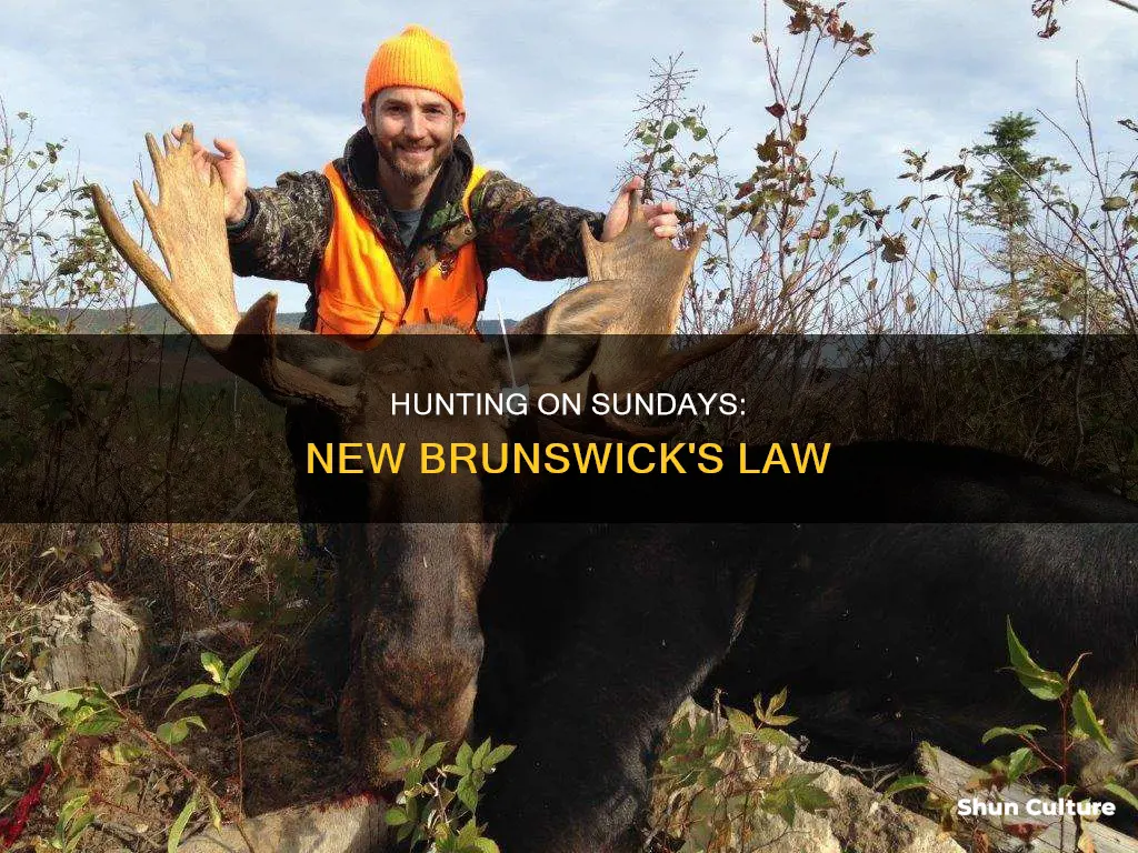 can you hunt on sunday in new brunswick