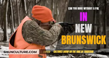 Hunting Solo in New Brunswick: Is it Legal?