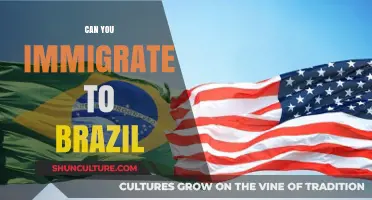 How to Immigrate to Brazil: Visa Options and Requirements Explained