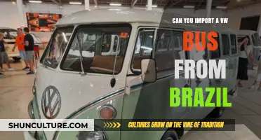 Importing a VW Bus from Brazil: Legalities, Costs, and Process Explained