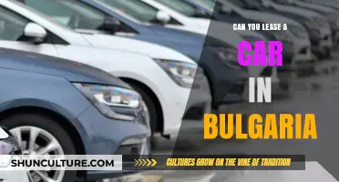 Exploring Car Leasing Options in Bulgaria: A Comprehensive Guide