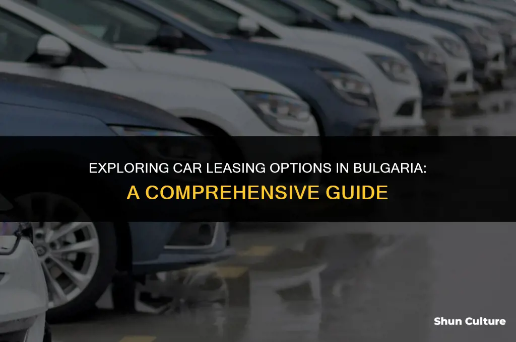 can you lease a car in bulgaria