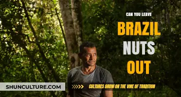 Can Brazil Nuts Be Left Out? Storage Tips and Safety