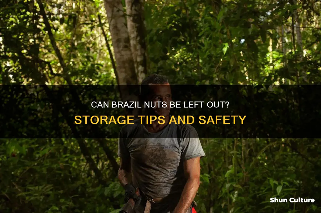 can you leave brazil nuts out