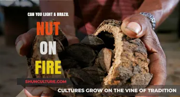 Can Brazil Nuts Be Ignited? A Flammability Experiment Revealed