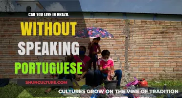 Surviving in Brazil: Navigating Life Without Speaking Portuguese Fluently