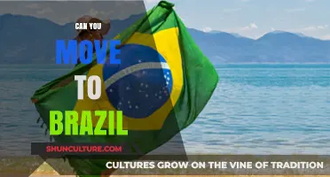 Moving to Brazil: Essential Tips for a Smooth Relocation Adventure