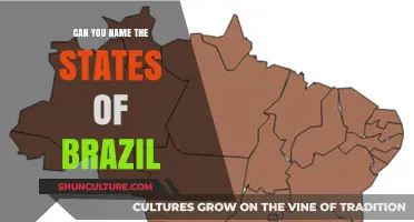 Exploring Brazil's Diversity: Can You Name All Its States?
