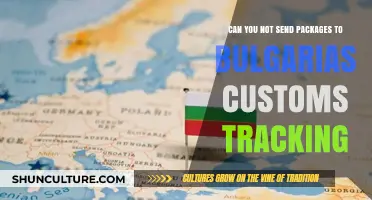 Navigating Bulgarian Customs: Why Package Tracking is Essential