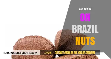 Brazil Nuts Overdose: Understanding the Risks of Excessive Consumption