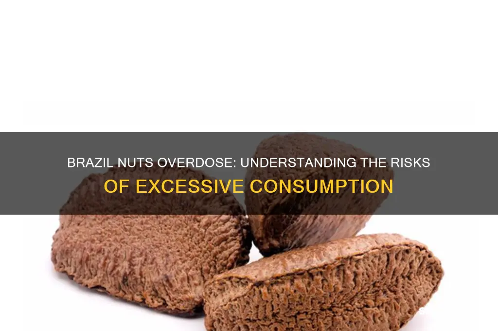 can you od on brazil nuts