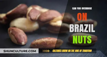 Brazil Nuts Overdose Risk: Understanding Safe Consumption Limits