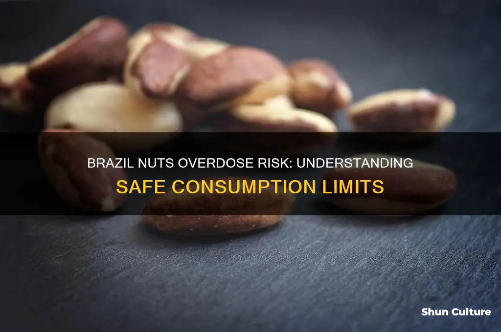 can you overdose on brazil nuts