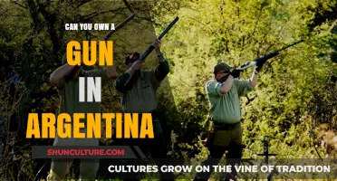 Exploring Gun Ownership in Argentina: Legalities and Limitations