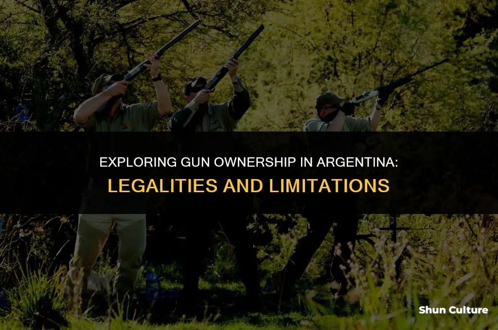 can you own a gun in argentina