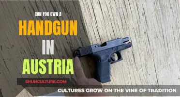 Gun Laws in Austria: Can You Carry a Handgun?