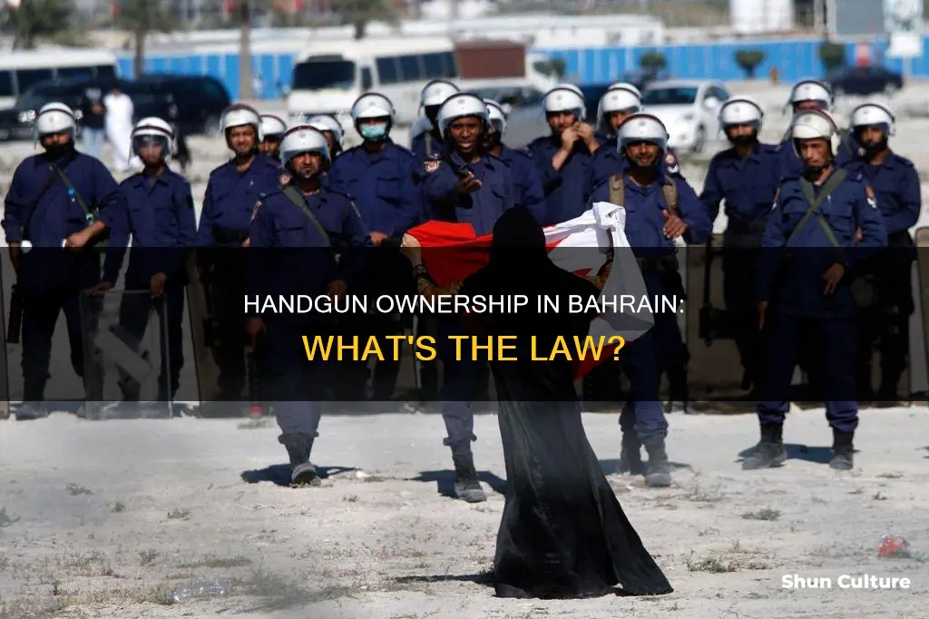 can you own a handgun in bahrain