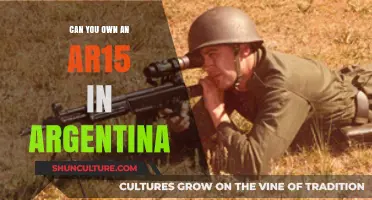 Exploring Gun Ownership: The AR-15 in Argentina