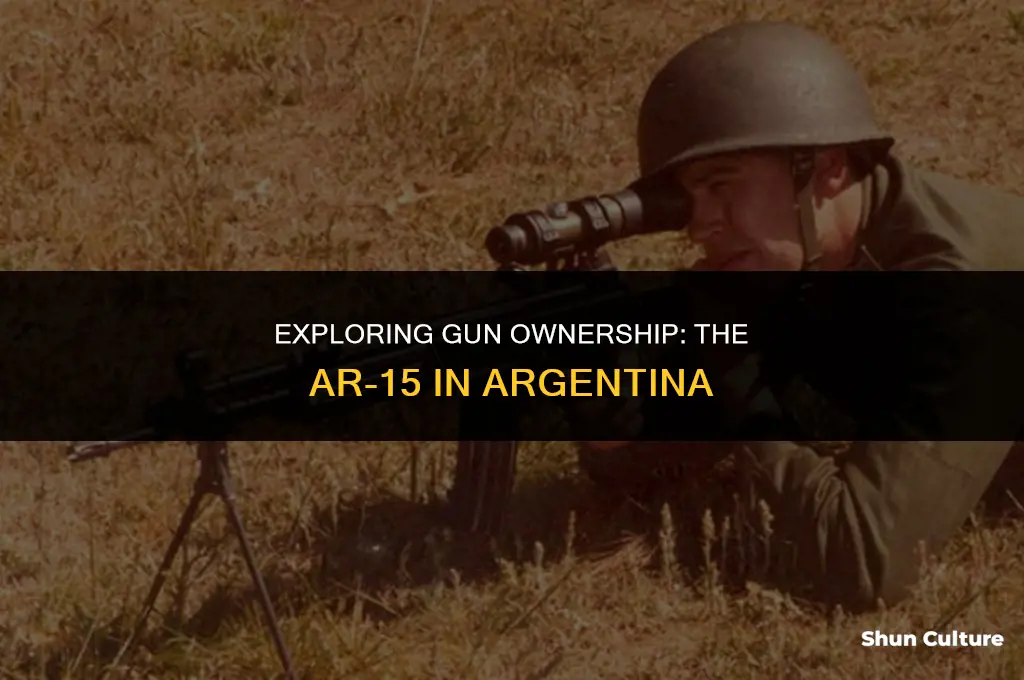 can you own an ar15 in argentina