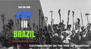 Owning Land in Brazil: Legalities, Opportunities, and Foreign Ownership Explained