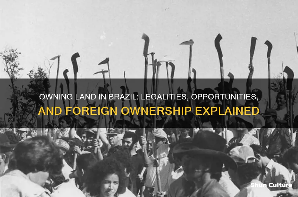can you own land in brazil