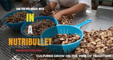 Blending Brazil Nuts in a Nutribullet: Tips and Tricks