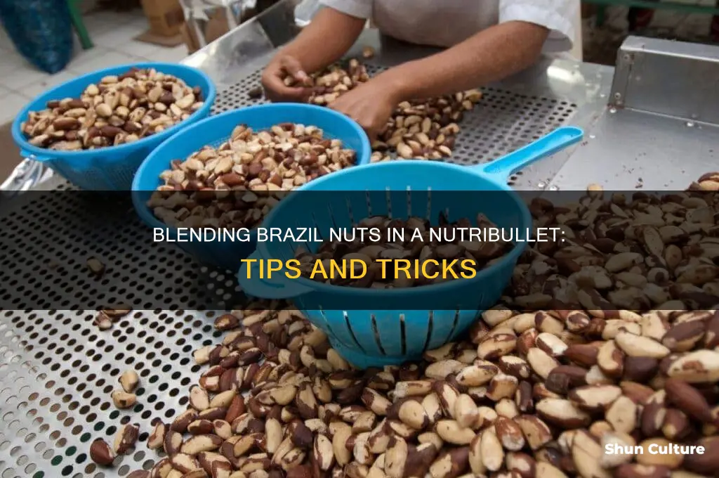 can you put brazil nuts in a nutribullet