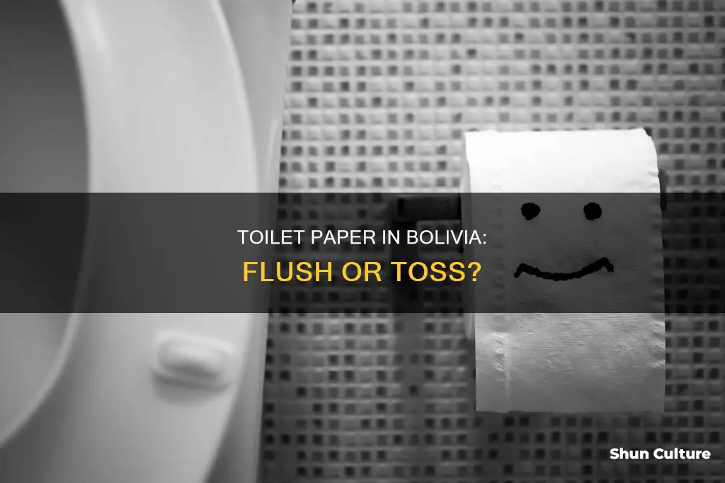 can you put toilet paper in tioilet in bolivia