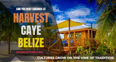 Renting Cabanas at Harvest Caye, Belize: A Guide