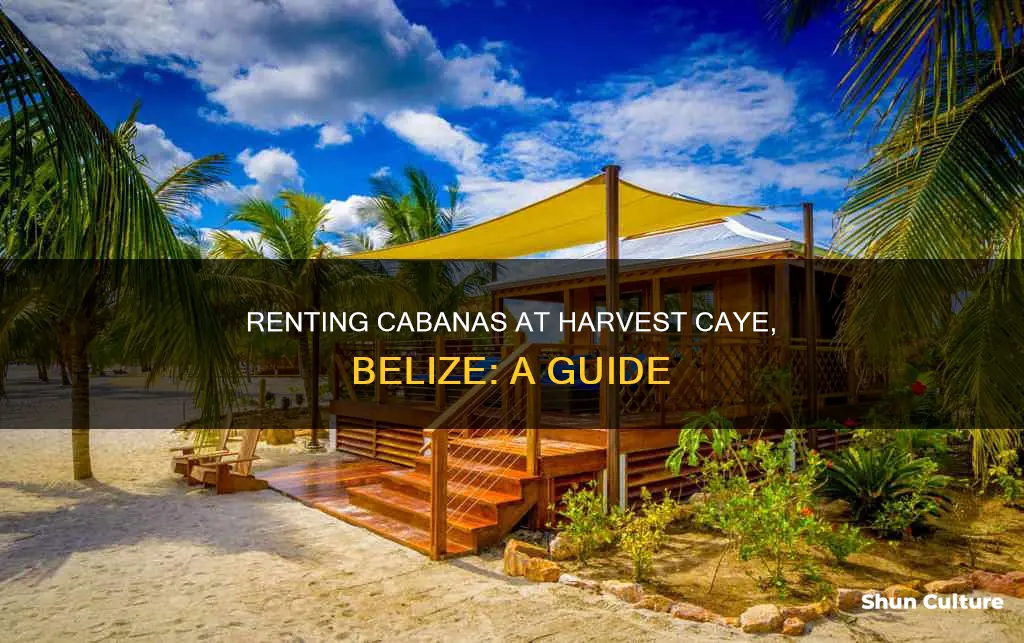 can you rent cabanas at harvest caye belize