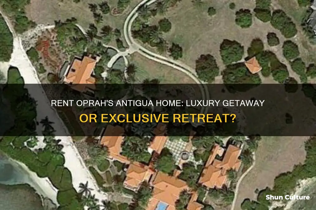 can you rent oprah winfrey