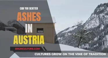 Scattering Ashes in Austria: What You Should Know