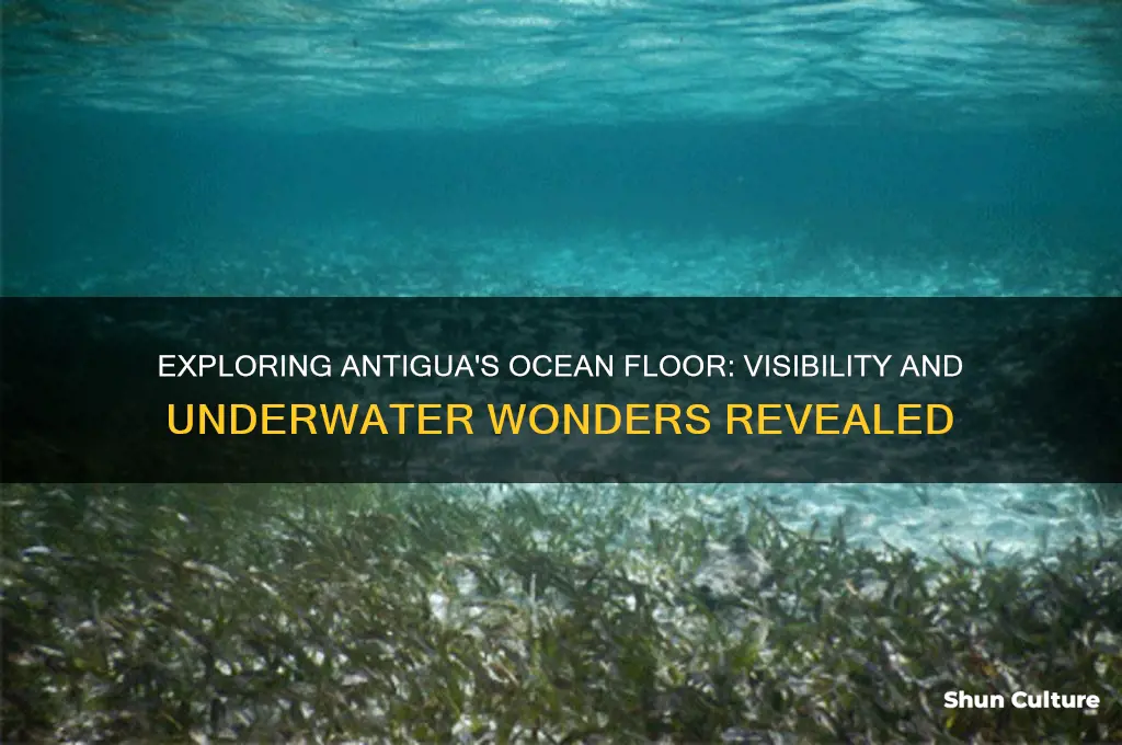 can you see the ocean floor in antigua
