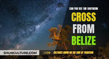 Spotting the Southern Cross: A Stargazer's Guide to Belize