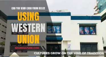 Sending Cash from Belize: Western Union Options