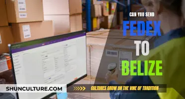 FedEx Shipping to Belize: Is It Possible?