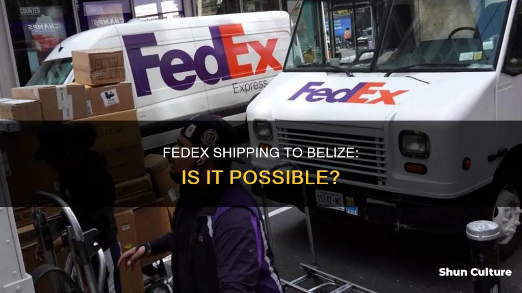 can you send fedex to belize