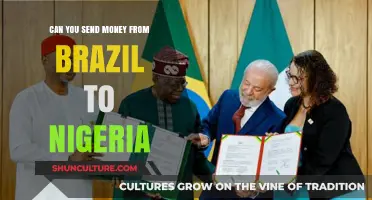 Sending Money from Brazil to Nigeria: A Comprehensive Guide