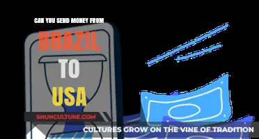 How to Transfer Money from Brazil to the USA Easily