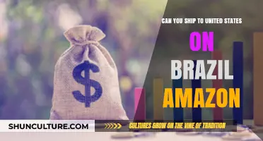 Shipping from Brazil Amazon to the US: What You Need to Know