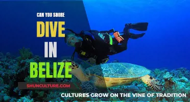 Shore Diving in Belize: Exploring the Country's Underwater World